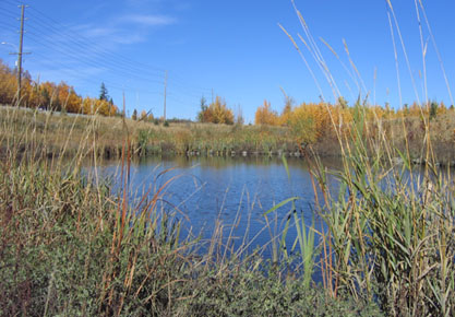 Westgate stormwater pond